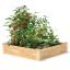 PINES6848145-2